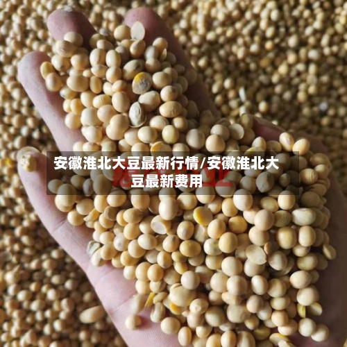 安徽淮北大豆最新行情/安徽淮北大豆最新费用-第1张图片