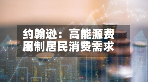 约翰逊：高能源费用压制居民消费需求-第1张图片