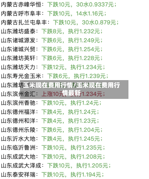 玉米现在费用行情/玉米现在费用行情最新-第1张图片