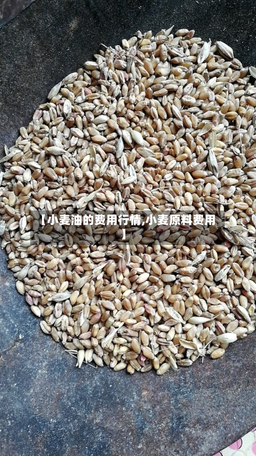 【小麦油的费用行情,小麦原料费用】-第1张图片
