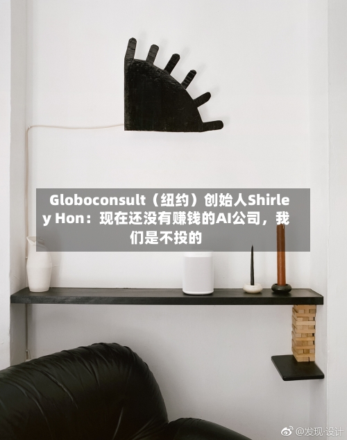 Globoconsult（纽约）创始人Shirley Hon：现在还没有赚钱的AI公司，我们是不投的-第1张图片
