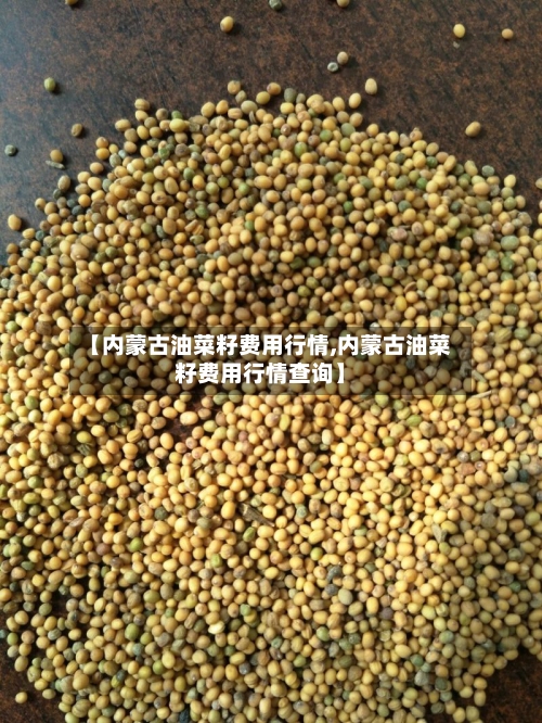 【内蒙古油菜籽费用行情,内蒙古油菜籽费用行情查询】-第1张图片