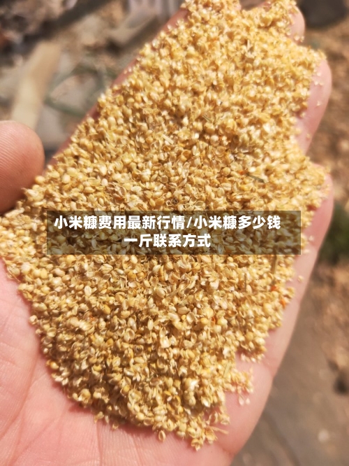 小米糠费用最新行情/小米糠多少钱一斤联系方式-第1张图片
