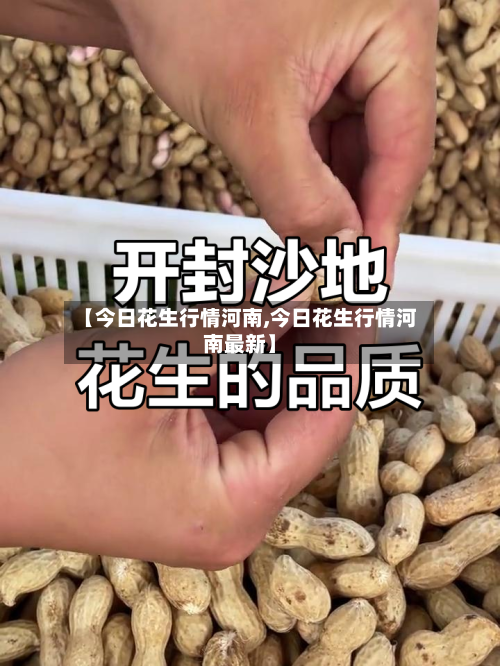 【今日花生行情河南,今日花生行情河南最新】-第1张图片