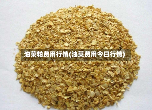油菜粕费用行情(油菜费用今日行情)-第1张图片