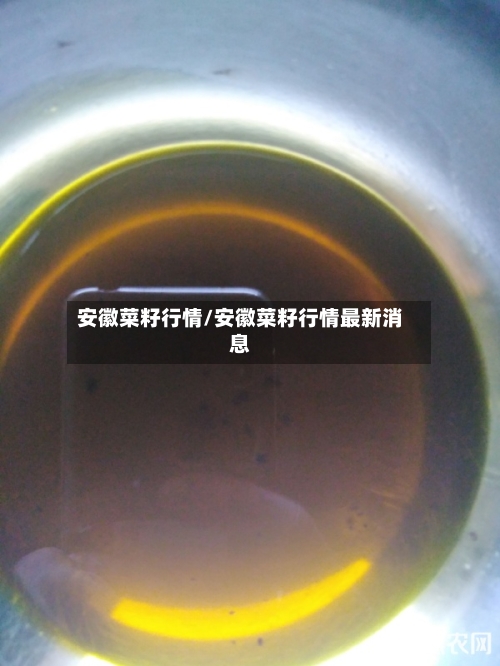 安徽菜籽行情/安徽菜籽行情最新消息-第2张图片