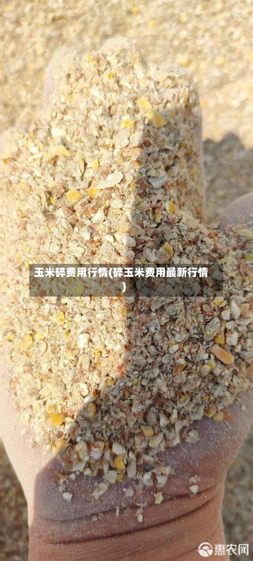 玉米碎费用行情(碎玉米费用最新行情)-第2张图片