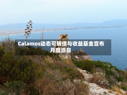 Calamos动态可转债与收益基金宣布月度派息-第1张图片