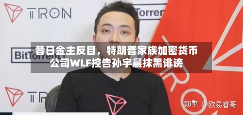 昔日金主反目，特朗普家族加密货币公司WLF控告孙宇晨抹黑诽谤-第3张图片