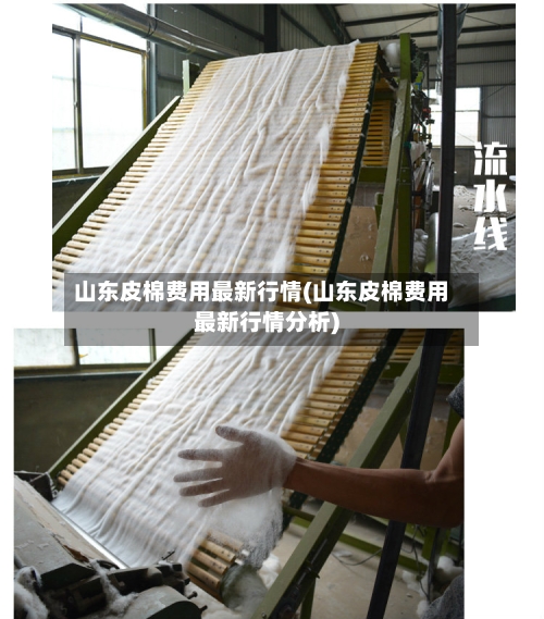 山东皮棉费用最新行情(山东皮棉费用最新行情分析)-第1张图片