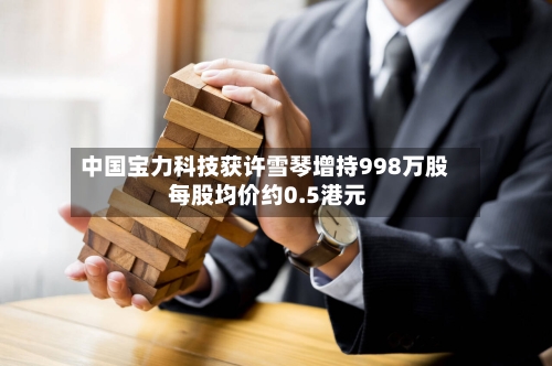 中国宝力科技获许雪琴增持998万股 每股均价约0.5港元-第2张图片