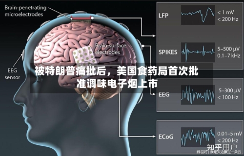 被特朗普痛批后，美国食药局首次批准调味电子烟上市-第2张图片