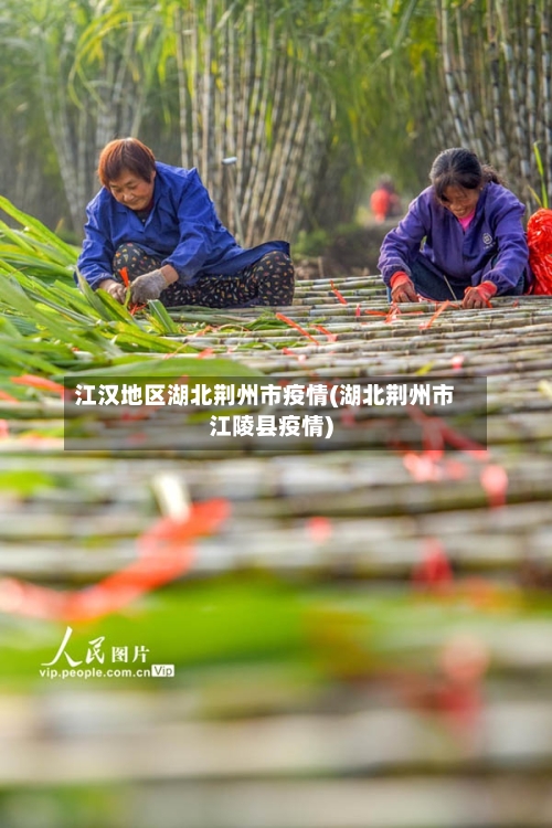 江汉地区湖北荆州市疫情(湖北荆州市江陵县疫情)-第2张图片