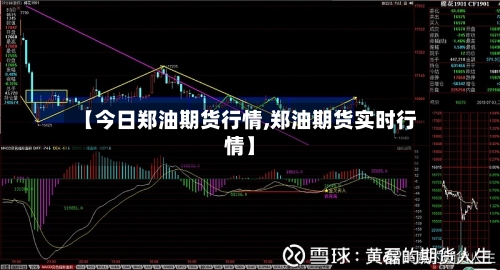 【今日郑油期货行情,郑油期货实时行情】-第1张图片