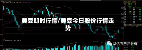 美豆即时行情/美豆今日股价行情走势-第1张图片