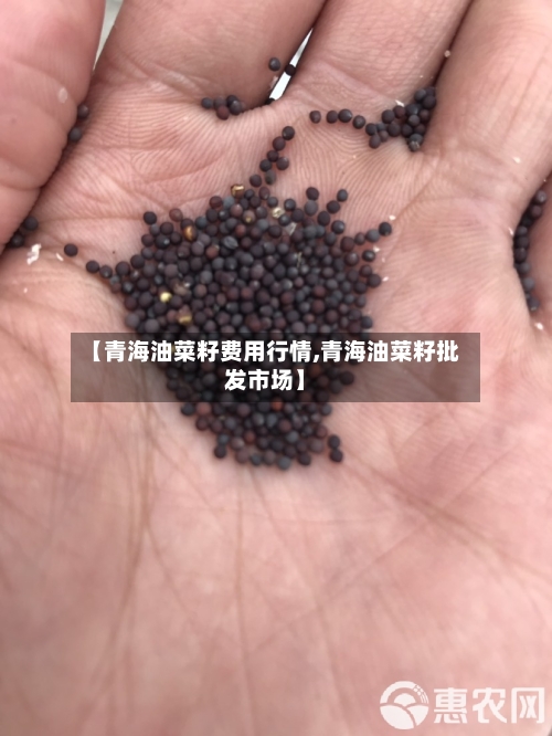 【青海油菜籽费用行情,青海油菜籽批发市场】-第1张图片