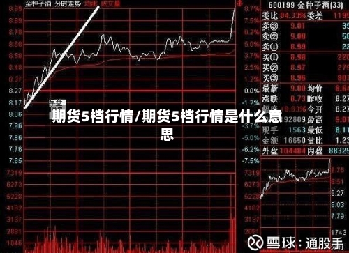 期货5档行情/期货5档行情是什么意思-第1张图片