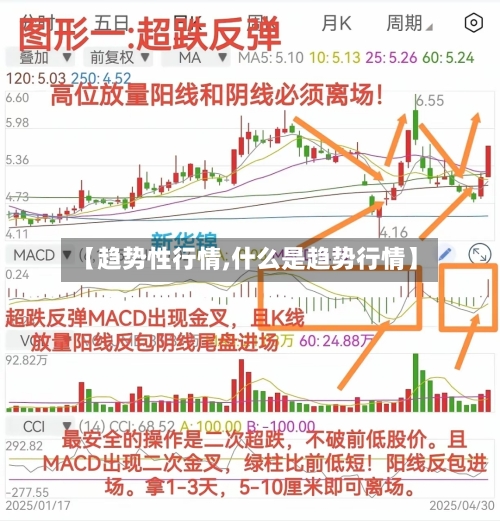 【趋势性行情,什么是趋势行情】-第1张图片