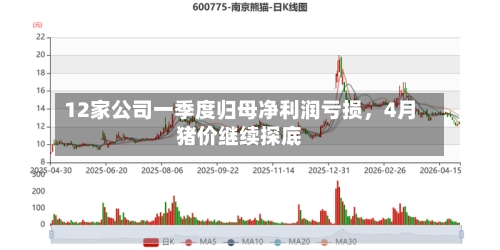 12家公司一季度归母净利润亏损，4月猪价继续探底-第1张图片