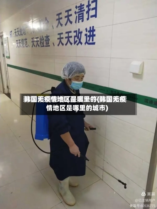 韩国无疫情地区是哪里的(韩国无疫情地区是哪里的城市)-第2张图片