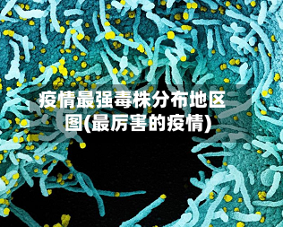 疫情最强毒株分布地区图(最厉害的疫情)-第3张图片