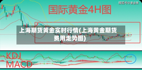 上海期货黄金实时行情(上海黄金期货费用走势图)-第1张图片