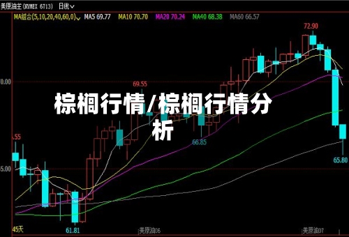 棕榈行情/棕榈行情分析-第1张图片