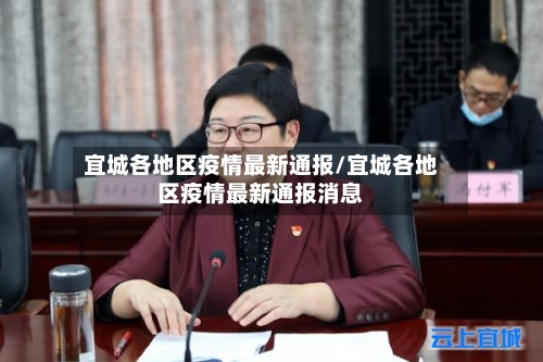 宜城各地区疫情最新通报/宜城各地区疫情最新通报消息-第3张图片
