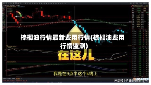 棕榈油行情最新费用行情(棕榈油费用行情监测)-第1张图片