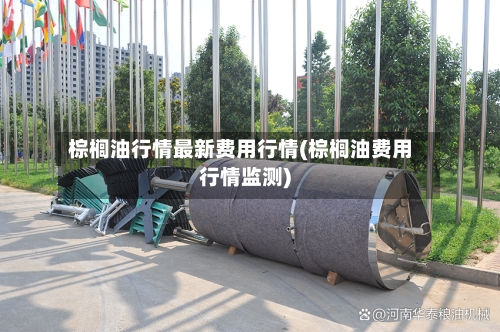 棕榈油行情最新费用行情(棕榈油费用行情监测)-第2张图片