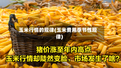 玉米行情的规律(玉米费用季节性规律)-第1张图片