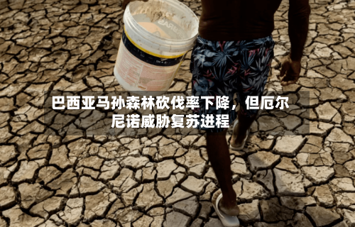 巴西亚马孙森林砍伐率下降	，但厄尔尼诺威胁复苏进程-第2张图片