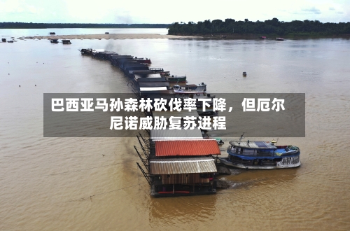 巴西亚马孙森林砍伐率下降	，但厄尔尼诺威胁复苏进程-第1张图片