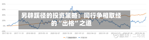 另辟蹊径的投资策略：同行争相取经的“出格”之道-第1张图片