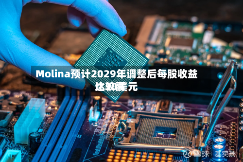 Molina预计2029年调整后每股收益比较高达30美元-第1张图片