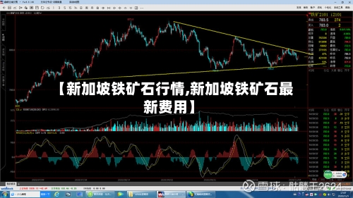 【新加坡铁矿石行情,新加坡铁矿石最新费用】-第2张图片