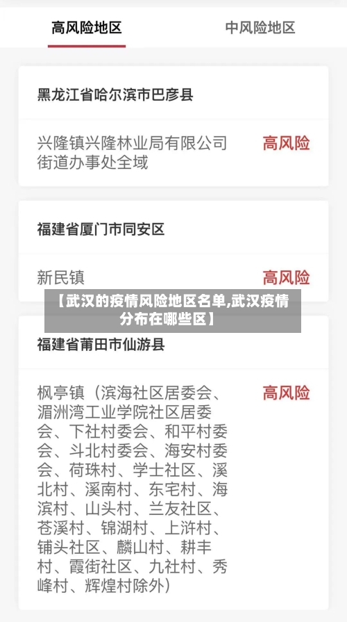 【武汉的疫情风险地区名单,武汉疫情分布在哪些区】-第3张图片