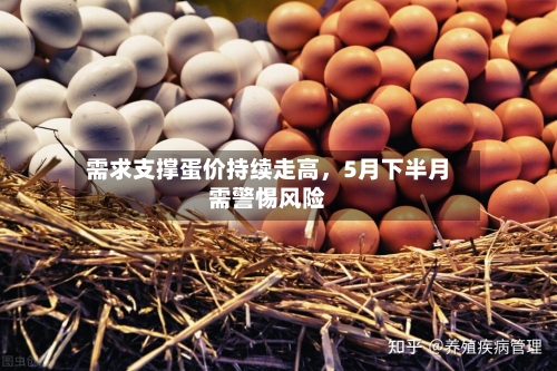 需求支撑蛋价持续走高	，5月下半月需警惕风险-第3张图片