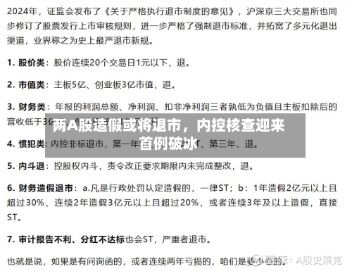 两A股造假或将退市，内控核查迎来首例破冰-第2张图片