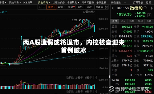 两A股造假或将退市	，内控核查迎来首例破冰-第1张图片
