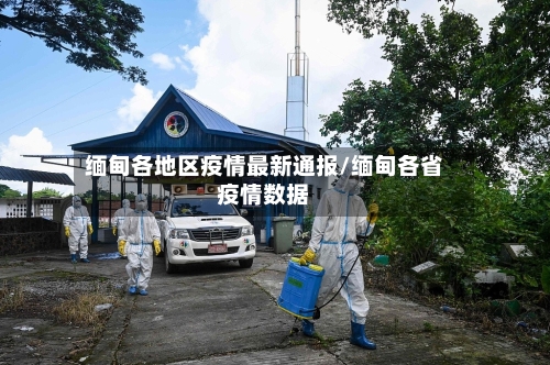 缅甸各地区疫情最新通报/缅甸各省疫情数据-第1张图片