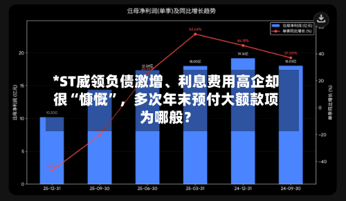 *ST威领负债激增、利息费用高企却很“慷慨	”	，多次年末预付大额款项为哪般？-第2张图片