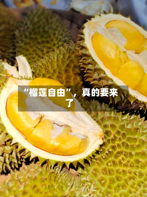 “榴莲自由	”	，真的要来了-第1张图片