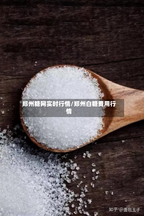 郑州糖网实时行情/郑州白糖费用行情-第2张图片