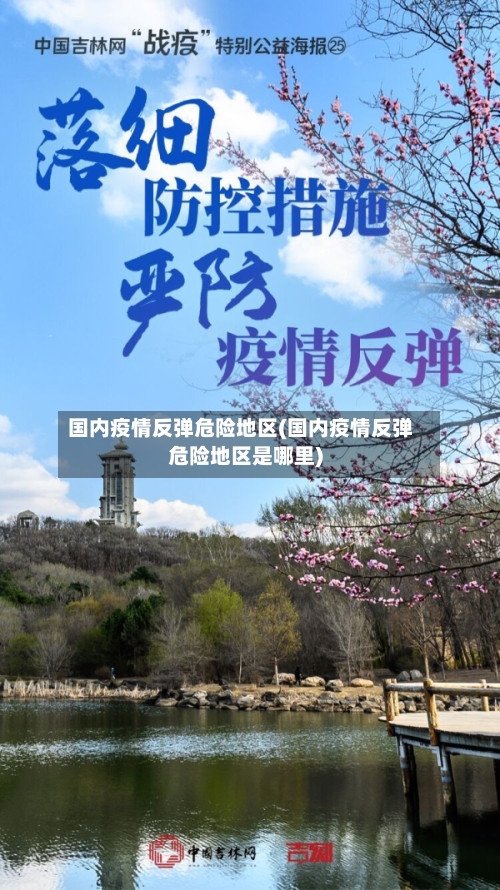 国内疫情反弹危险地区(国内疫情反弹危险地区是哪里)-第2张图片