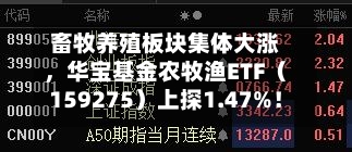 畜牧养殖板块集体大涨	，华宝基金农牧渔ETF（159275）上探1.47%！估值低位反转将至？-第1张图片