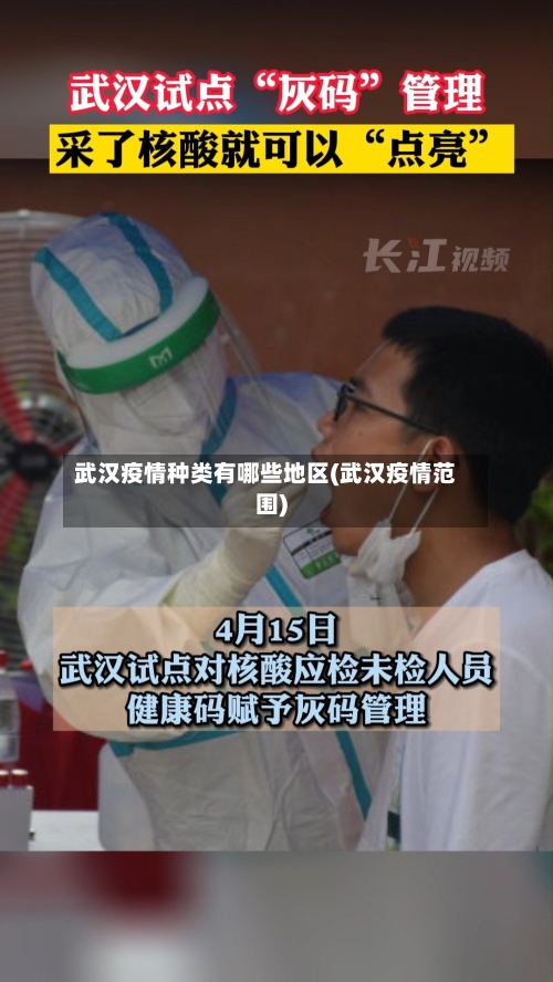 武汉疫情种类有哪些地区(武汉疫情范围)-第2张图片