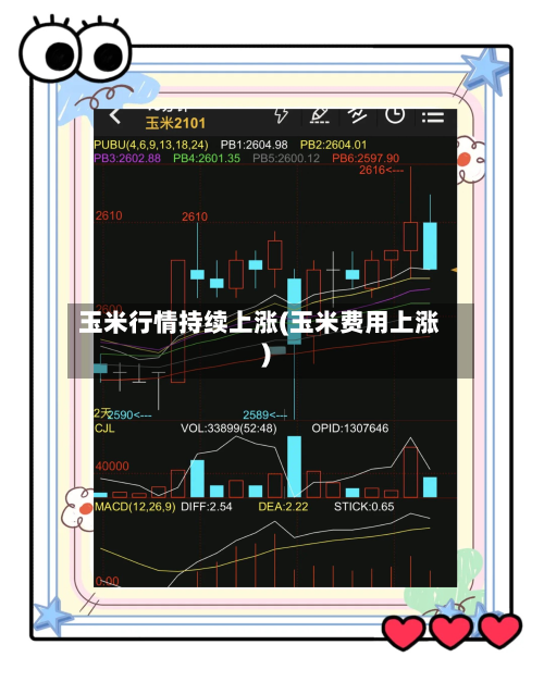 玉米行情持续上涨(玉米费用上涨)-第2张图片