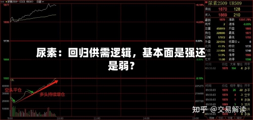 尿素：回归供需逻辑，基本面是强还是弱？-第2张图片