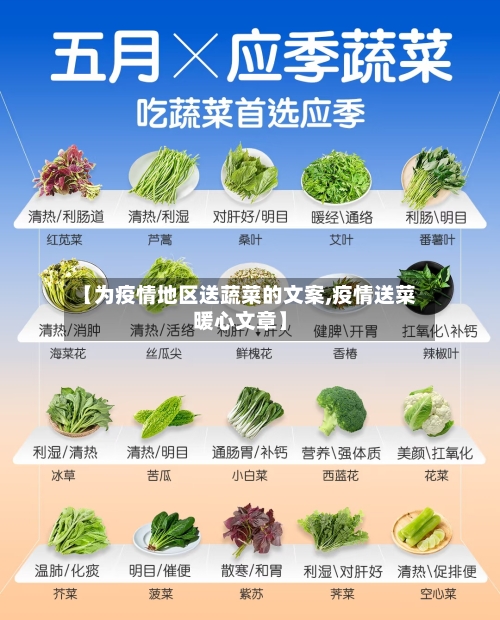 【为疫情地区送蔬菜的文案,疫情送菜暖心文章】-第2张图片